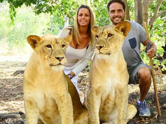 Walking with lion - Casela