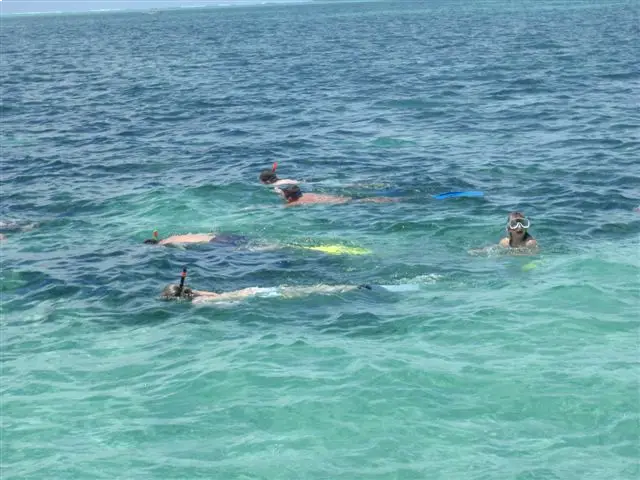 Picture Snorkeling